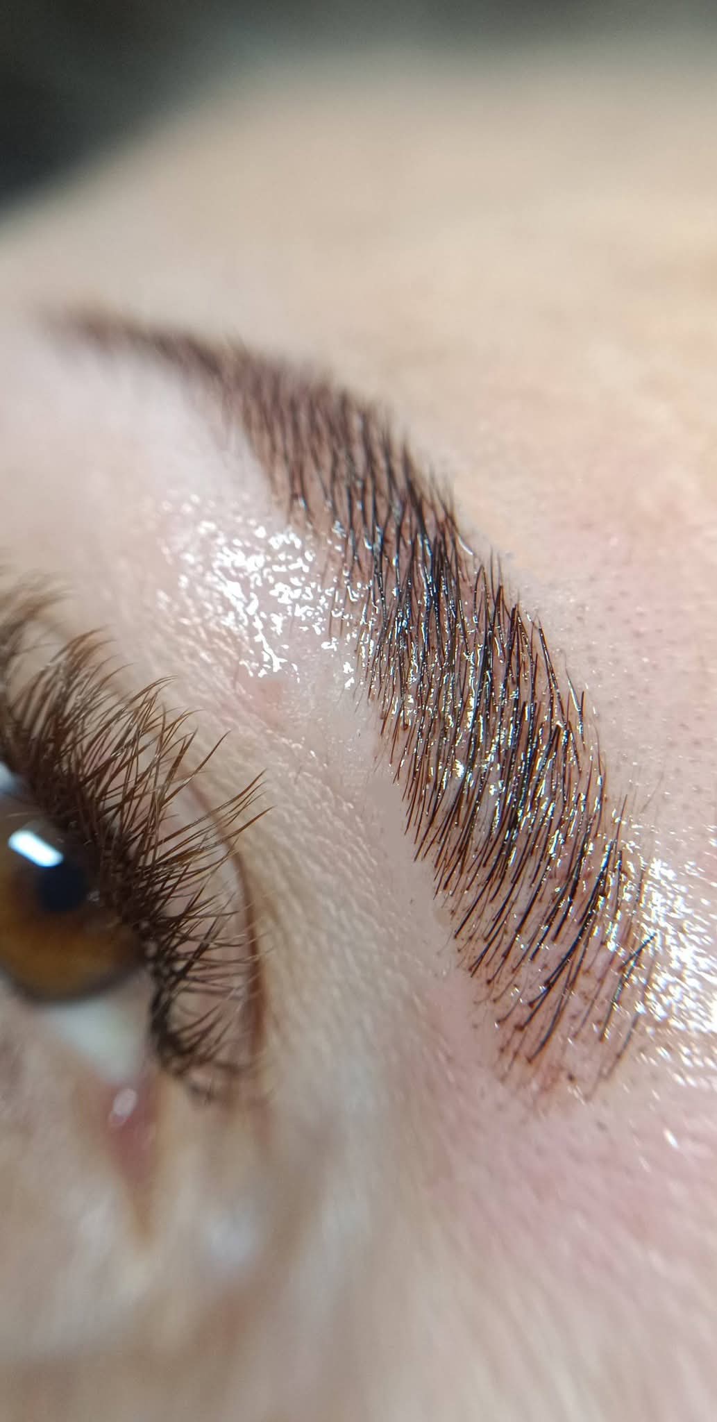 Brow Lamination — resultado real da Keli Sampaio